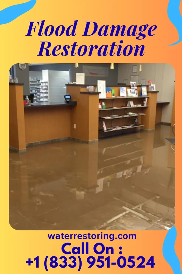Flood Damage Restoration in Raymond, IL
