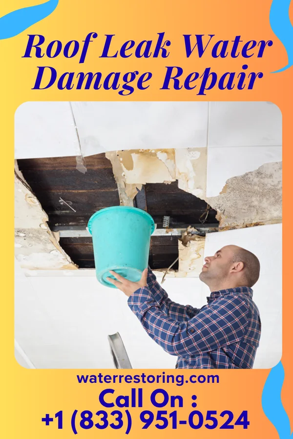 Roof Leak Water Damage Repair in Raymond, IL